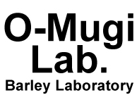Mugi Lab